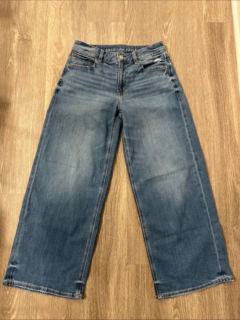 American Eagle Outfitters - Distressed Low-Rise Baggy Wide Leg Jeans